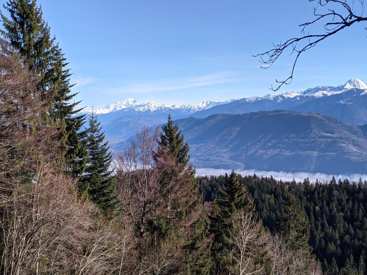 Appartement De Plain-Pied En Montagne Avec Vue Merveilleuse Sur Le Massif De Belledonne Saint Bernard du Touvet 外观 照片
